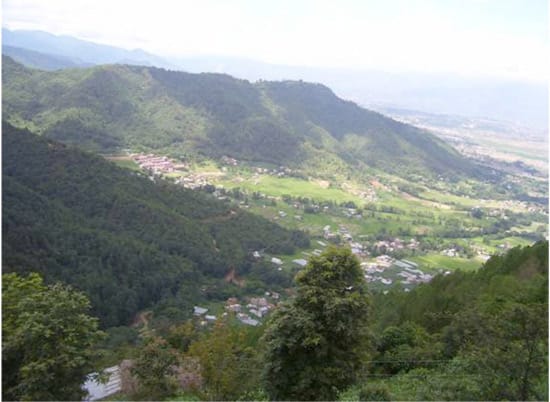 volunteers planting trees in Nepal 