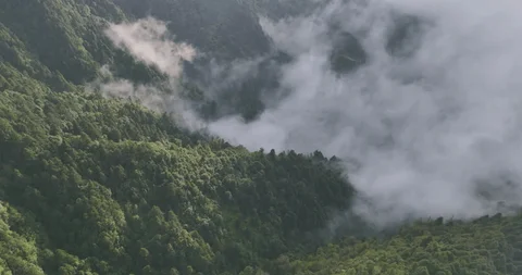 volunteers planting trees in Nepal 