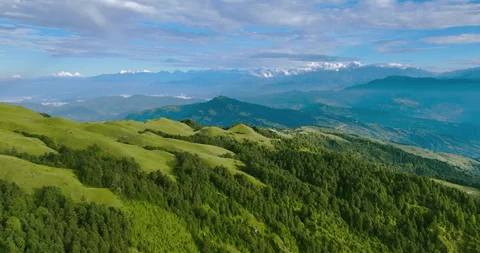 volunteers planting trees in Nepal 